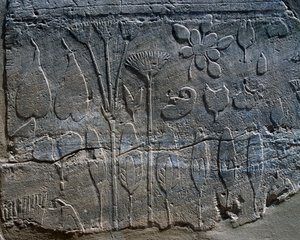 Darstellungen von Pflanzen und Tieren, die Thutmosis III. im Jahr 1465 v. Chr. aus Syrien mitgebracht hat, Detail eines Reliefs, Raum des sogenannten Botanischen Gartens, Karnak-Tempelkomplex (Unesco-Welterbeliste) von Egyptian 18th Dynasty