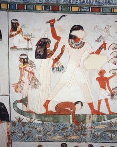 Szene des Jagens und Fischens in den Sümpfen, Fresko, Nordwand, Längskammer, Thebanisches Grab TT69, Sheikh Abd el-Qurna, Theben (Unesco-Welterbeliste) von Egyptian 18th Dynasty