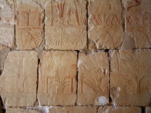 Vegetation, Detail der Szene, die die Expedition ins Land Punt darstellt, bemaltes Relief, Kolonnade von Punt, Totentempel der Hatschepsut, Deir el-Bahari, Thebanische Nekropole (Unesco-Welterbeliste) von Egyptian 18th Dynasty