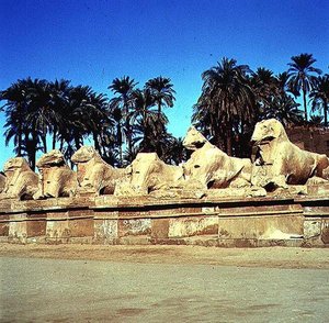 Allee der widderköpfigen Sphinxe entlang des Prozessionswegs zum Großen Tempel von Amun, Neues Reich