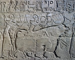 Charaktere, die Bergbaudistrikte symbolisieren und ihre Tribute an den Gott bringen, Relief, Ramses II Hof, Tempel des Amun (Unesco-Welterbeliste) von Egyptian 19th Dynasty