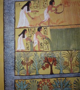 Detail einer Ernteszene an der Ostwand, aus dem Grab von Sennedjem, Das Arbeiterdorf, Neues Reich
