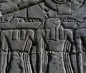 Priester mit Falkenmaske, Detail aus einer Szene, die Ramses II. vor dem heiligen Boot darstellt, Relief, Innenwände der Großen Säulenhalle, Karnak-Tempelkomplex (Unesco-Welterbeliste)