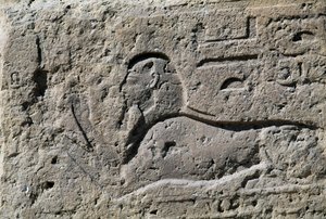 Sphinx, Block mit Relief, Großer Tempel des Amun, Tanis, Ägypten, Neues Reich, Dynastie XIX von Egyptian 19th Dynasty