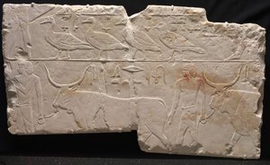 Relief von Männern, die Vögel und Vieh bringen, ca. 2311-2281 v. Chr. von Egyptian 6th Dynasty