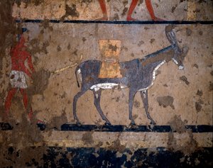 Ägyptische Antiquität: "Der Getreidetransport auf dem Rücken eines Maultiers". Temperamalerei an der Wand des Grabes des Kanzlers von König Iti (oder Ity) 2200-2000 v. Chr. Aus El Ghebelen, Luxor. Turin, Ägyptisches Museum