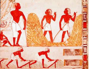 Ernteszene im alten Ägypten (Fresko)
