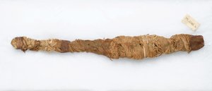 Krokodilmumie, gefunden in Manfalont, 305 v. Chr.-30 v. Chr. von Egyptian School