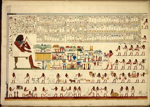 Ägyptische Hieroglyphen, aus Ansichten usw. von Sheikh-Hassan bis Beni-Hassan, Atlas Folio