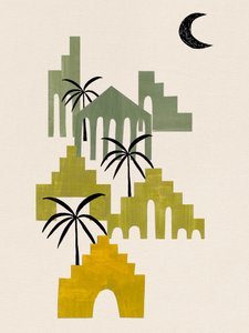 Wüstenoase Nacht von Ejaaz Haniff