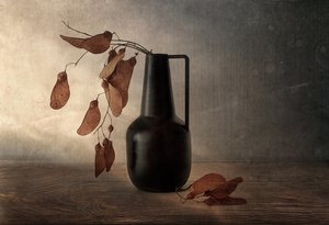 Schwarze Vase getrocknete Kapseln