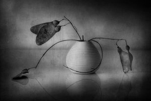 Minimalistisches botanisches Stillleben