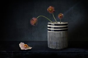 Stimmungsvolle Stachelblumen von Elena Arjona