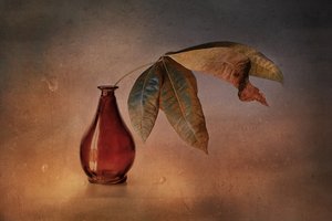 Rote Vase Herbstblätter