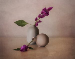 Serene Blumenvasen von Elena Arjona