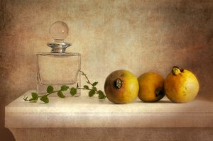 Vintage Guave Stillleben
