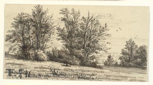 Landschaft mit Baumgruppen