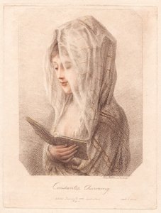 Constantia Charming von Elias Martin