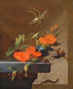 Ein Strauß Rosen, Prunkwinde und Haselnüsse mit Heuschrecken, Hirschkäfer und Eidechse