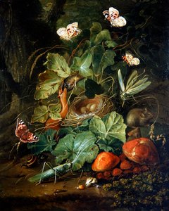 Ein Stillleben mit Früchten und Schmetterlingen auf dem Waldboden von Elias van den Broeck