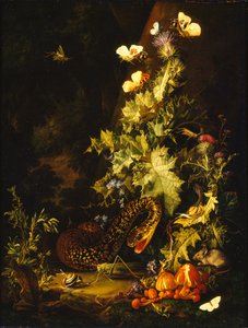 Stillleben mit einer Schlange, frühes 18. Jahrhundert von Elias van den Broeck
