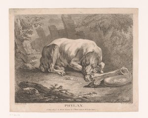 Schlafender Hund von Élie du Mesnil