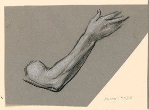 Studie eines Arms