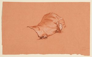 Draperiestudie für kostümierten männlichen Torso