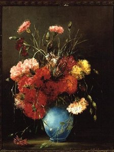 Rote, Weiße und Rosa Nelken