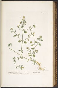 Tafel 100, aus 