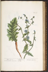 Tafel 183, aus 