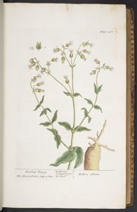 Tafel 268, aus 