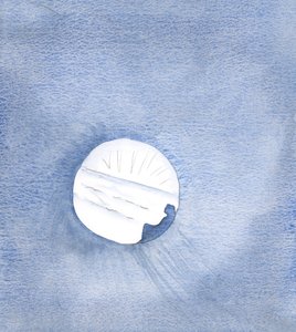 Die Gnaden, die uns Christus gibt, sind wie ein Fluss, der uns in voller Flut zur Quelle trägt