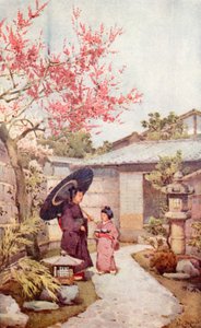 Die Kobai-Pflaumenblüte von Ella Du Cane