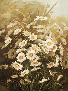 Gänseblümchen von Ellen Thayer Fisher