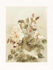 Rosa Rosen im Morgentau von Ellen Thayer Fisher