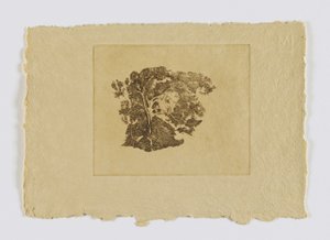 Baumstudie (aus Portfolio) von Emil Carlsen