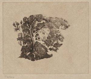Baumstudie von Emil Carlsen