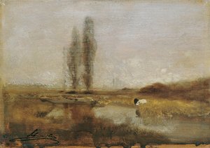 Moorlandschaft bei Lundenburg