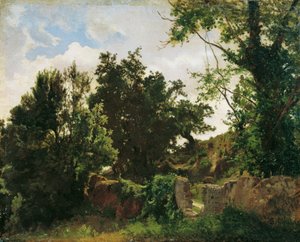 Schlossmauer in Plankenberg