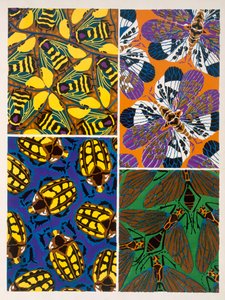 Design mit Insektenmotiv