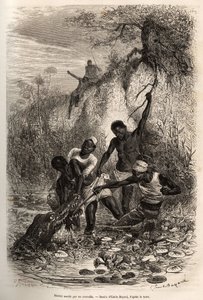 Ein Matrose der Expedition, der Convolvus (essbare Wasserpflanze, die sich auf der Wasseroberfläche ausbreitet) zurückgewonnen hat, wird am Ellbogen von einem Krokodil ergriffen; er verdankt sein Überleben nur dem Eingreifen seiner Kameraden, Radierung von von Emile Antoine Bayard