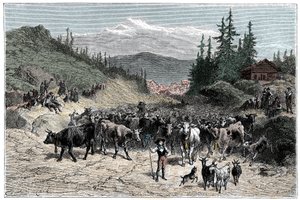 Alpen: das Jodeln oder Abmarsch der Herden (Kühe, Ziegen) zu den Weiden. Illustration von Emile Bayard für das Buch Les Montagnes von Albert Dupaigne, Ausgabe Mame 1881. von Emile Antoine Bayard