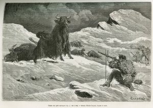 Wildyak-Jagdszene, Zeichnung von Emile Bayard zur Illustration der Reise nach Mongolei und dem Land der Tanguten von 1870 bis 1873, von Oberstleutnant Prjewalski. Gravur in Le tour du monde