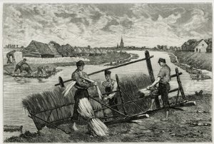 Der Rost des Flachses (Mazeration zur Erleichterung der Trennung der Rinde vom Stängel) in der Lys (Fluss im Norden Frankreichs und Belgiens). Gravur von Emile Claus, zur Illustration der Geschichte „La Belgique“, von Camille Lemonnier (1844-1913), Schrift von Emile Claus
