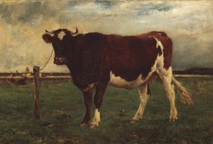 Studie einer Kuh, 1870-90