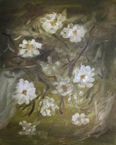Sanfte Weiße Blüten