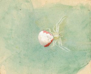 Porzellan-Weiße Spinne, spätes 19. - frühes 20. Jahrhundert von Emma Beach Thayer