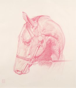 Porträtkopf, 2010 von Emma Kennaway