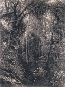 Blick auf die Schlucht oberhalb von Apia, Upolu, Westsamoa, 1877 von Emma Sandys